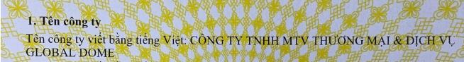 CÔNG TY TNHH MTV THƯƠNG MẠI & DỊCH VỤ GLOBAL DOME